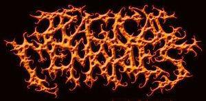 logo Tragical Memories